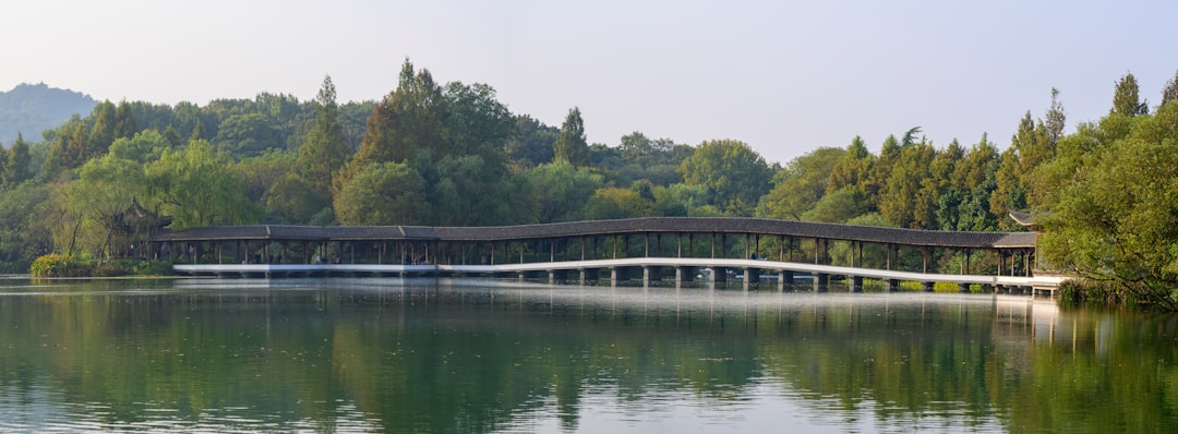 Haiku: Bridging Spatial Biology and Clinical Histology Through Tri-modal Learning