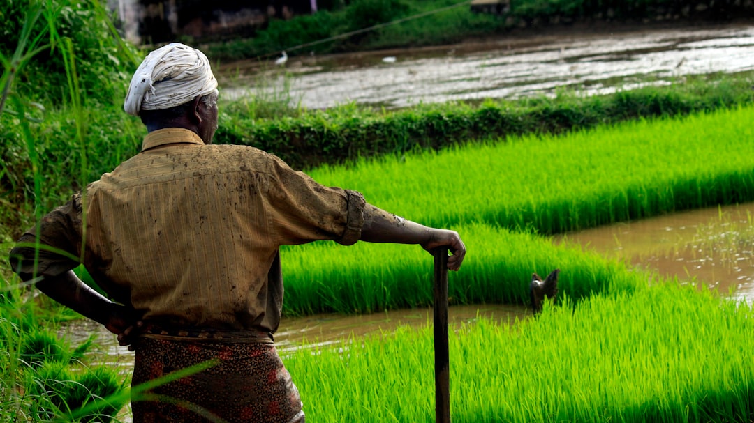 Revolutionizing Agriculture: Kisan AI’s Profit-Aware Crop Advisory System