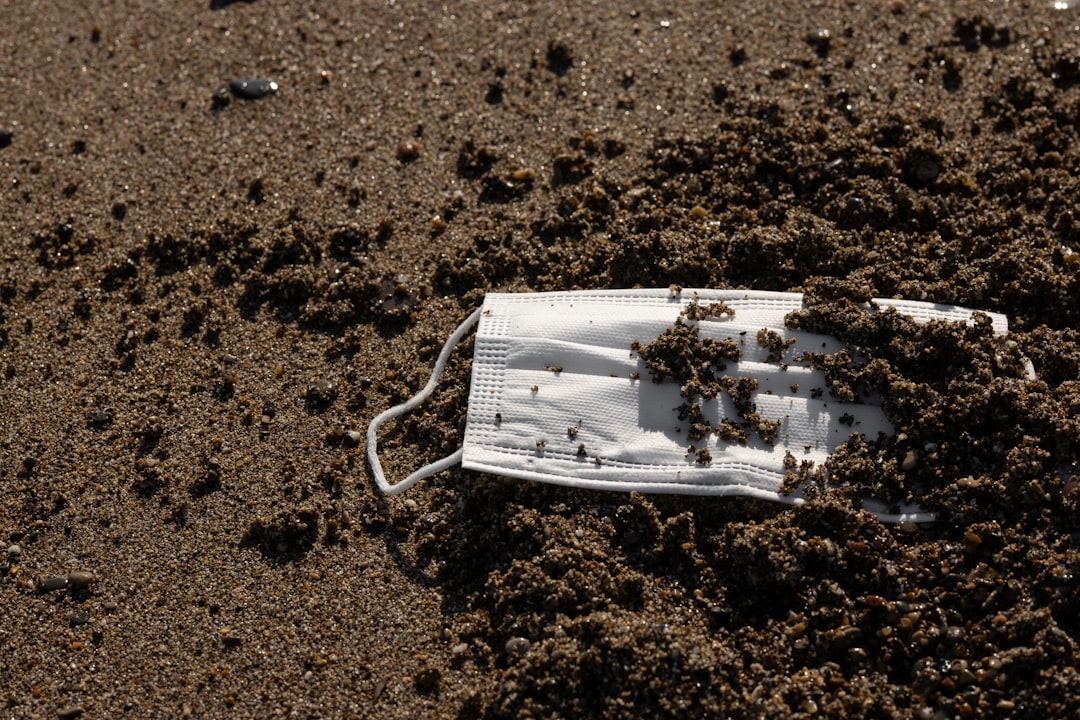 Unmasking Soil Contamination: Unsupervised Learning Tackles Heavy Metal Anomalies