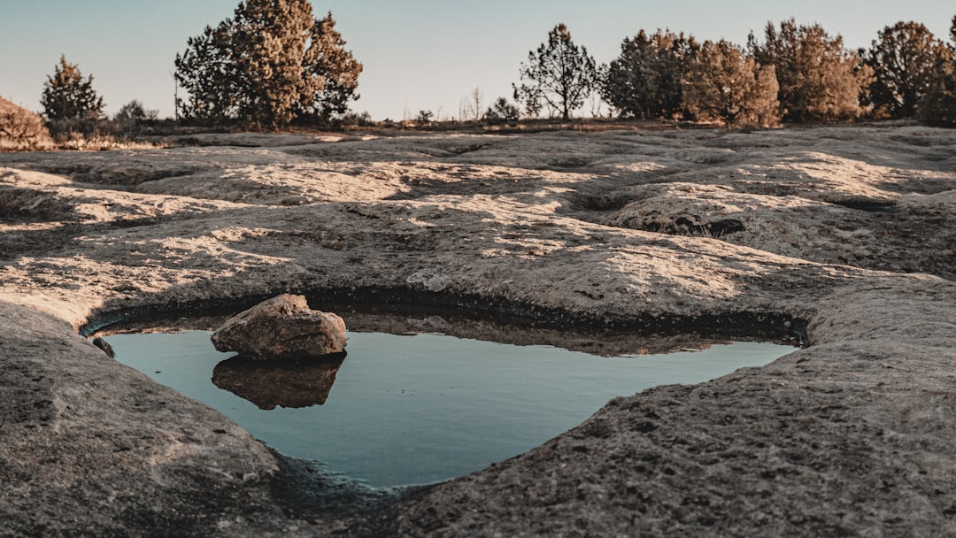 Unraveling Groundwater Contamination: A Novel Approach to Heavy Metal Prediction