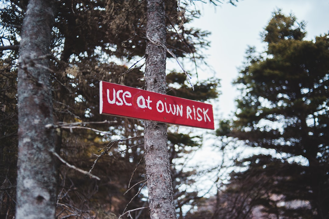 Unraveling Safety Risks in LLM Fine-Tuning Through Parameter Dynamics